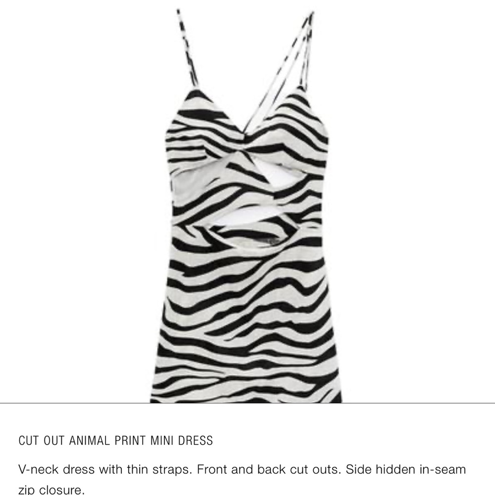 Zara Black and White Patterned Dress